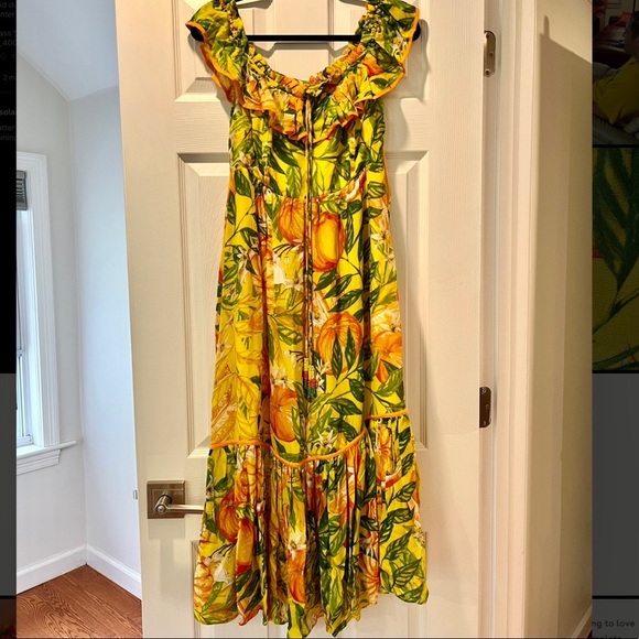 NWT Farm Rio Tangerines Dress - Picture 9 of 14